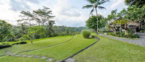 A well-maintained garden with a stone pathway, lush greenery, and a palm tree.