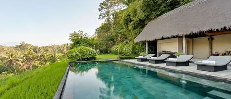 A swimming pool with lounge chairs, a thatched-roof structure, and lush greenery.