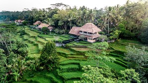 A traditional thatched-roof house surrounded by lush green terraced gardens. - Villa Kelusa Ubud (Payangan)