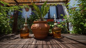 A terracotta pot with a plant and two bottles on a wooden table under a bamboo roof.