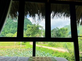 Minibar, decoración personalizada y escritorio 