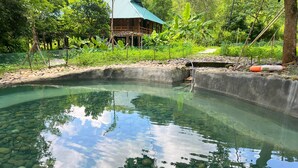 A clear pool with rocks, surrounded by greenery and a building with a green roof. - Mai Chau Sky (Mai Chau)