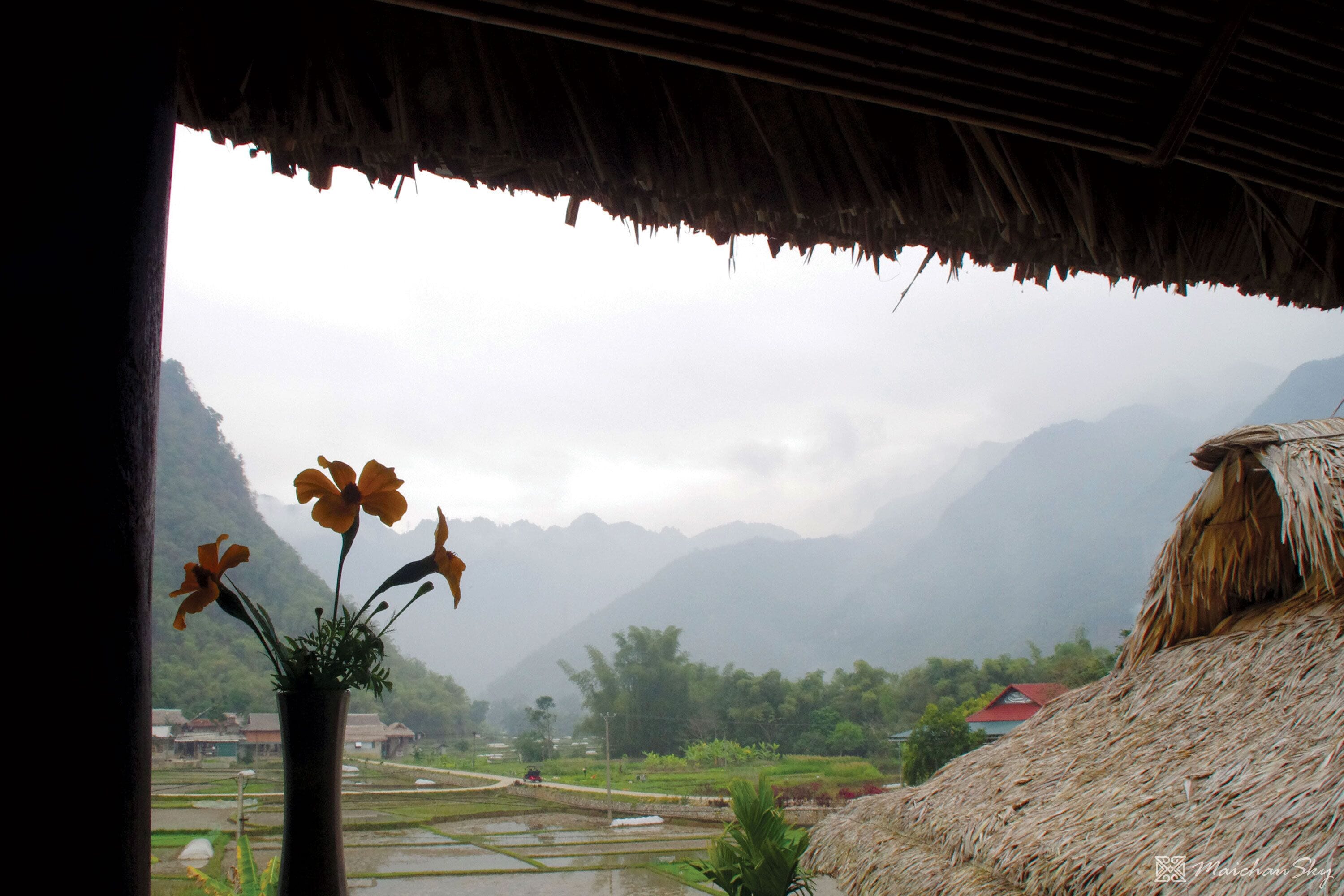 A view through a window with a thatched roof, revealing a rural landscape with rice paddies, mountains, and a few houses.