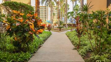 Condo, 2 habitaciones | Áreas de la propiedad