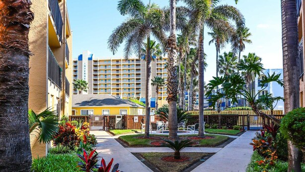 Un patio de hotel con palmeras, una jardinera central y un edificio de fachada amarilla al fondo.