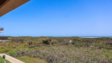 Condo, 3 Bedrooms | Property grounds