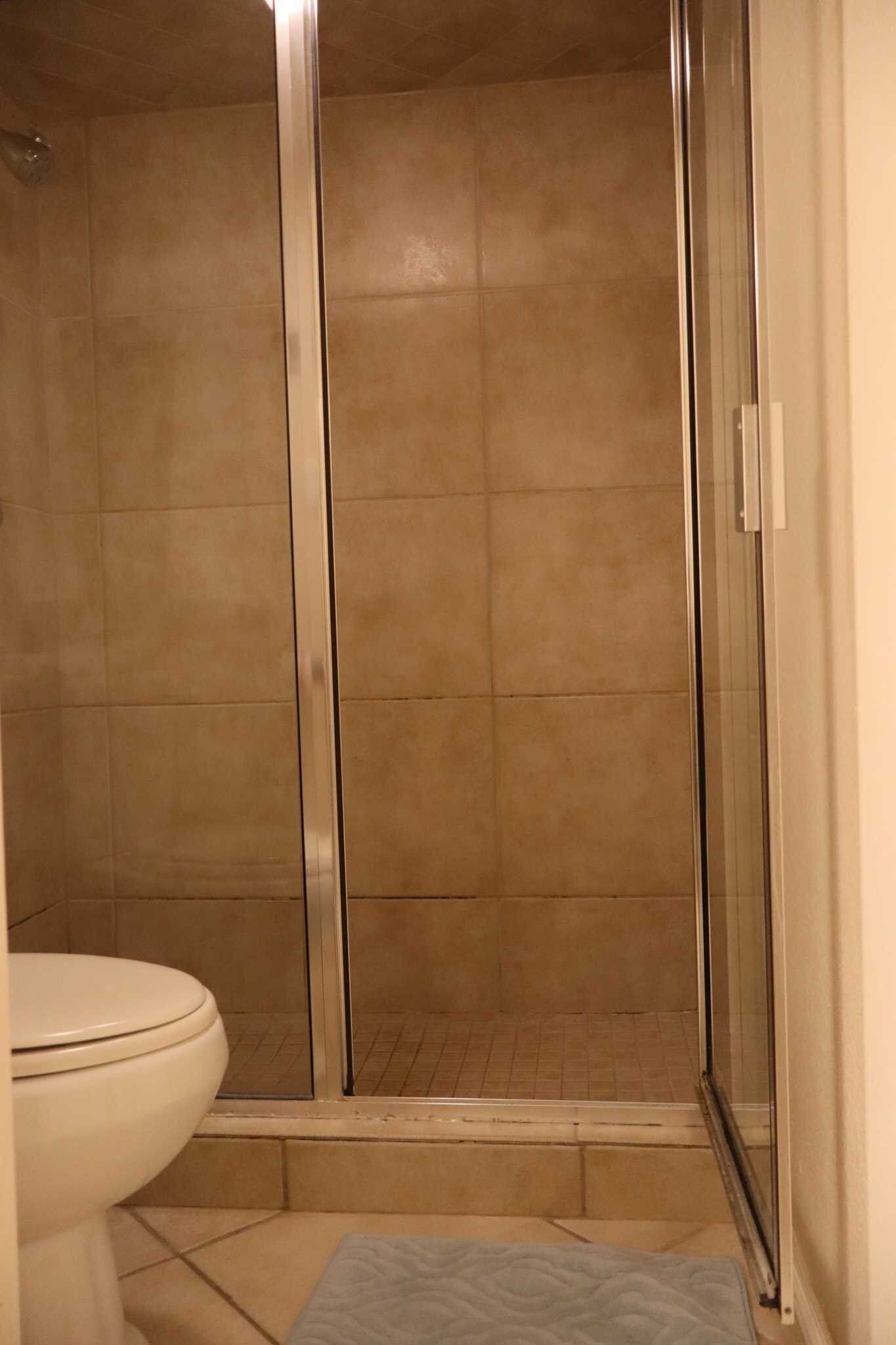 Een badkamer met een douchecabine, een toilet en een klein vloerkleed.