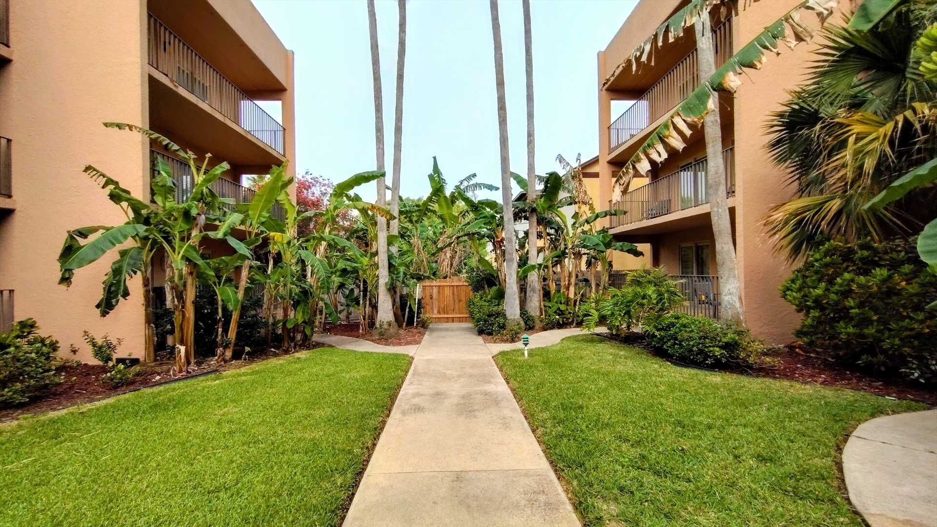 Un patio con un sendero central bordeado por abundante vegetación y altas palmeras, que conduce a una puerta de madera.