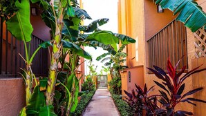 Un étroit sentier bordé de bananiers et d’autres plantes vertes, qui mène à une entrée fermée par un portail.