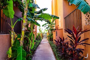 Condo, 2 Bedrooms | Property grounds