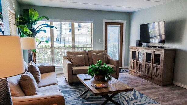 Un salon comprenant un canapé, une table basse avec une plante, un téléviseur posé sur un meuble et une fenêtre avec des stores.