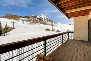 Property grounds - View Of Mt Crested Butte- 1 Br 1 Bedroom Condo - No Cleaning Fee! by RedAwning (Crested Butte)