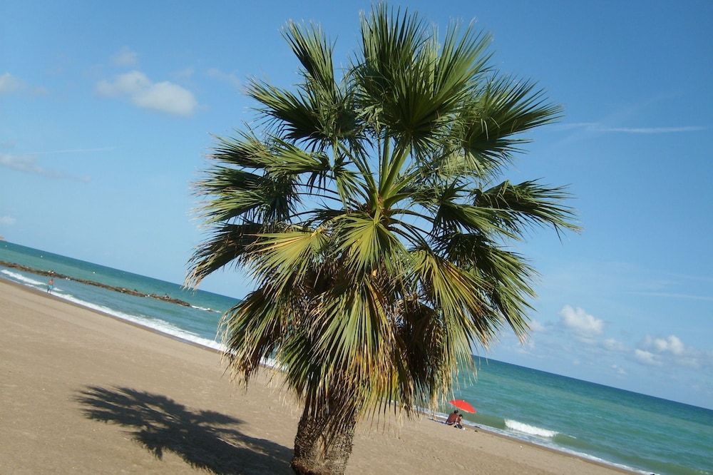 Camping Florida