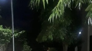 حديقة