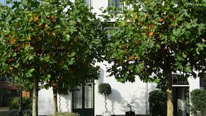 Een binnentuin met een wit gebouw, bomen, een fiets en bloembedden.