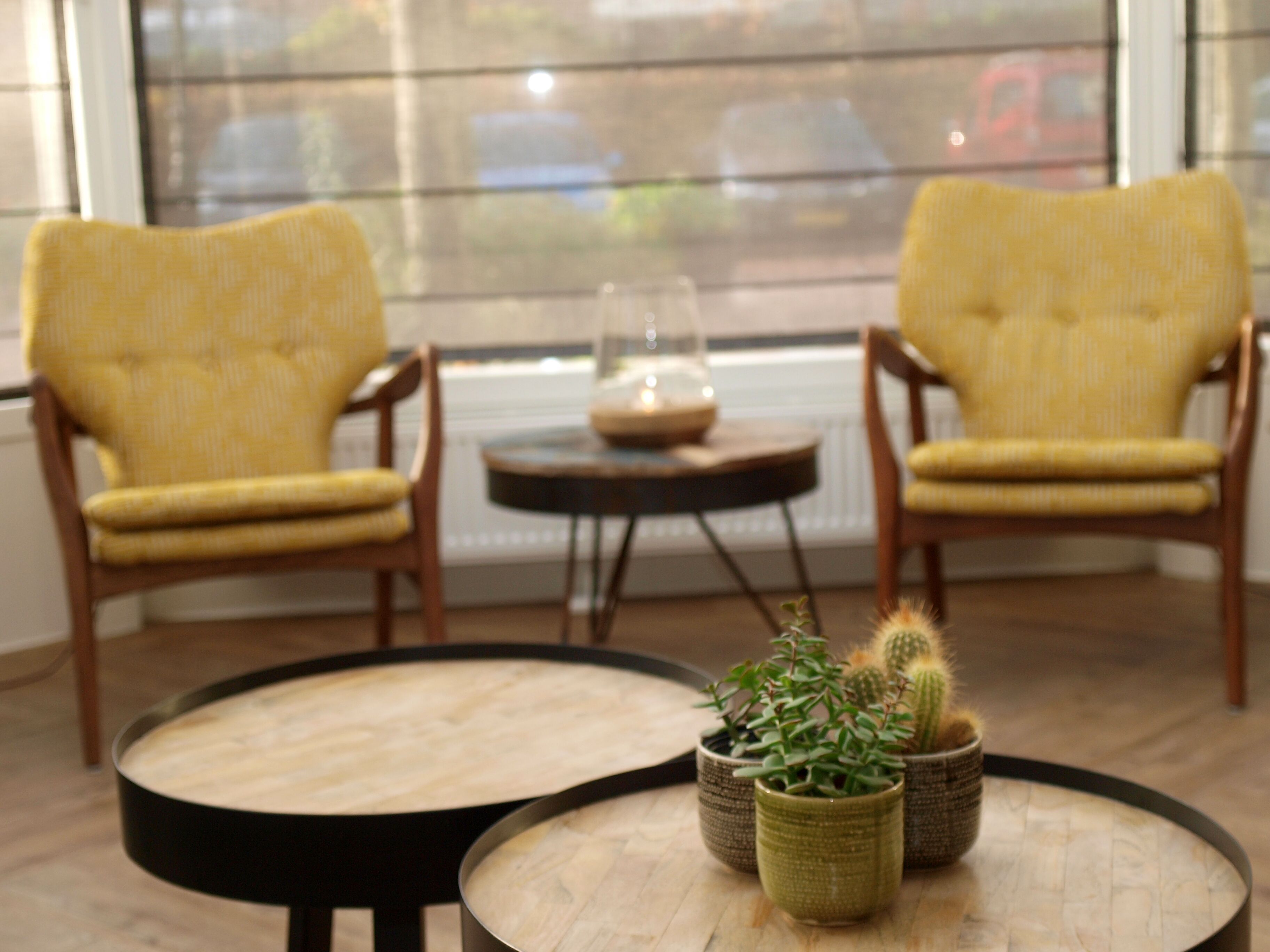 Dos sillones amarillos frente a una mesa redonda con un florero de vidrio y dos cactus en macetas.
