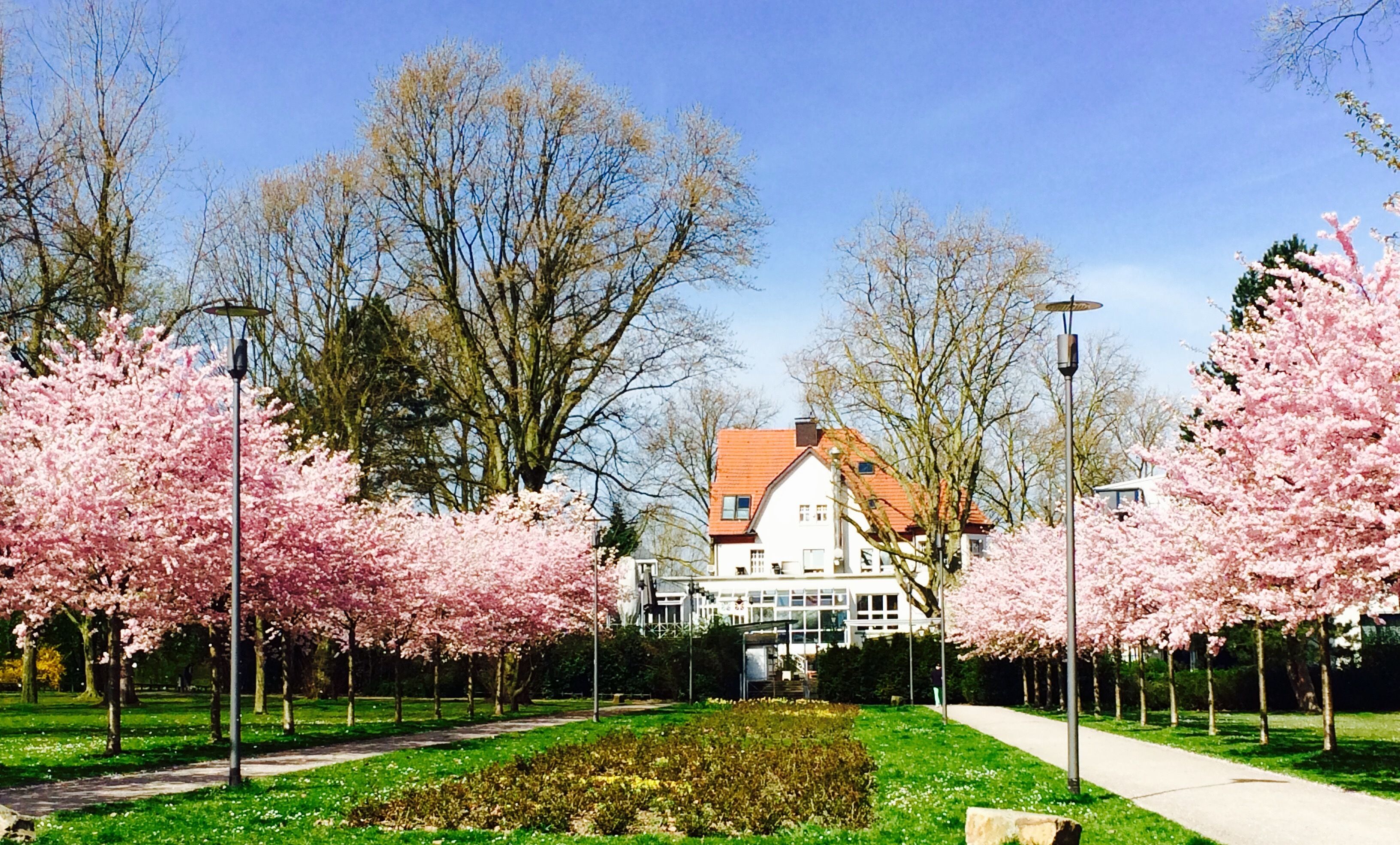Foto - Parkhotel Herne