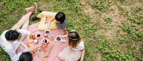 Área de parrillas y picnic