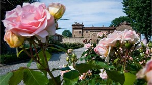 A garden with pink roses and a building in the background. - Antica Corte Pallavicina (Polesine Zibello)