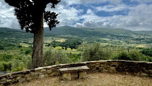 Un banc de pierre donnant sur une vallée verdoyante, avec un arbre au premier plan.