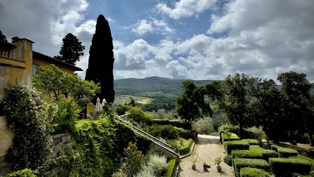 Un jardin avec un escalier en pierre, un grand arbre et une vue sur une vallée.
