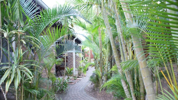 A narrow brick pathway flanked by tall palm trees and other tropical plants, leading to a brick building with a sloped roof. - Bhangazi Lodge (St. Lucia)