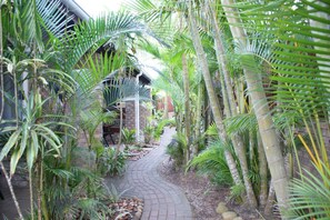 Un estrecho sendero de ladrillo bordeado por altas palmeras y otra vegetación tropical, que conduce a un edificio de ladrillo con techo inclinado.