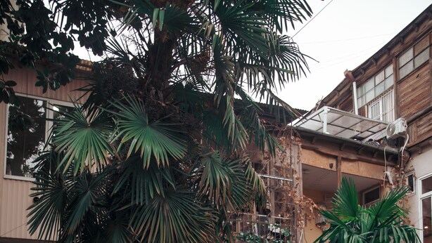 Courtyard - Hosthub Sololaki Apartment Old Tbilisi (Tbilisi)