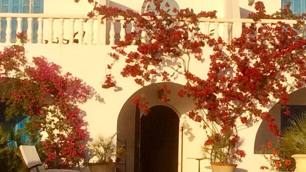 A poolside area with lounge chairs, potted plants, and a building with arches and a balcony. - Domaine El-Manar (Zarzis)