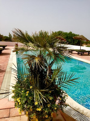 Una piscina con una palmera y flores, rodeada de sillas de descanso y una terraza con baldosas.