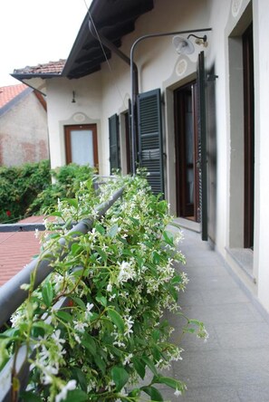 المنطقة المحيطة بالمنشأة