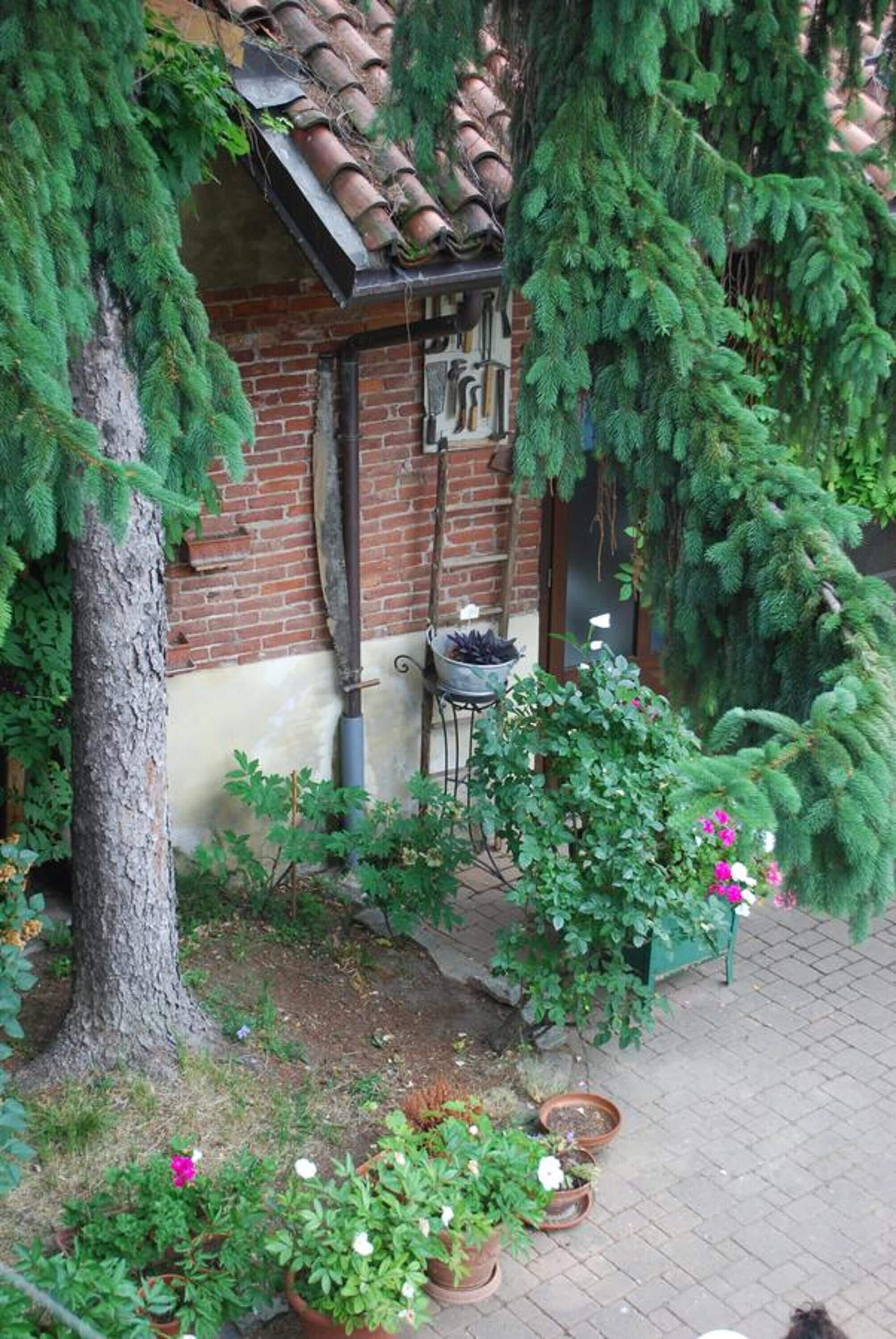 Photo - La Curandera