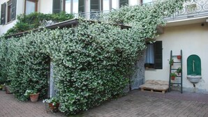 A building with a covered outdoor area, potted plants, a wooden bench, and a ladder with plants. - La Curandera (Rosta)