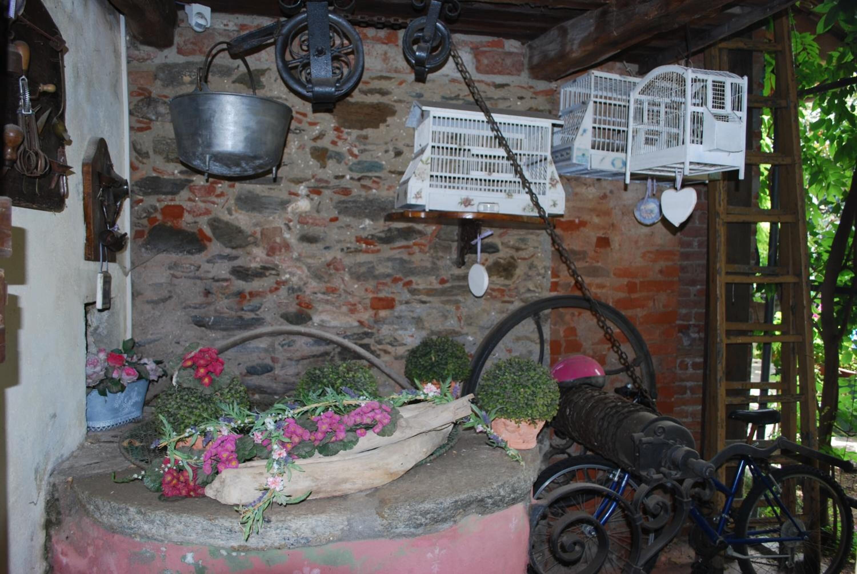 Photo - La Curandera