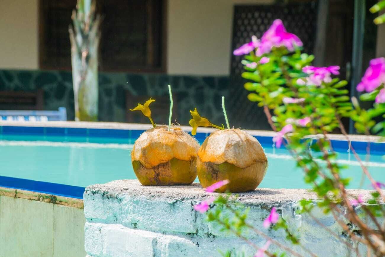 Two coconuts with stems on a concrete ledge by a pool.