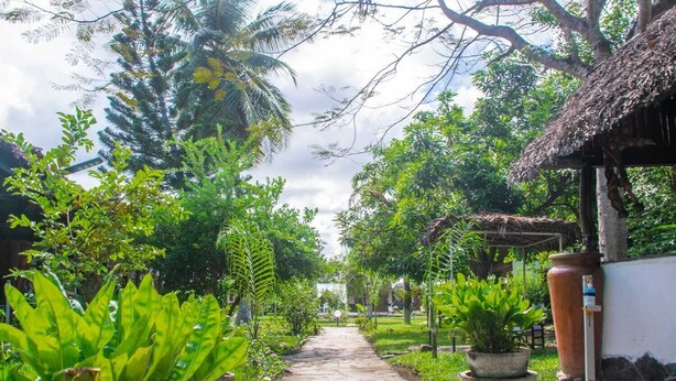 Un sentier de pierres serpente à travers un jardin luxuriant, où poussent différentes plantes et arbres. On y aperçoit une construction au toit de chaume et un grand pot en terre cuite.