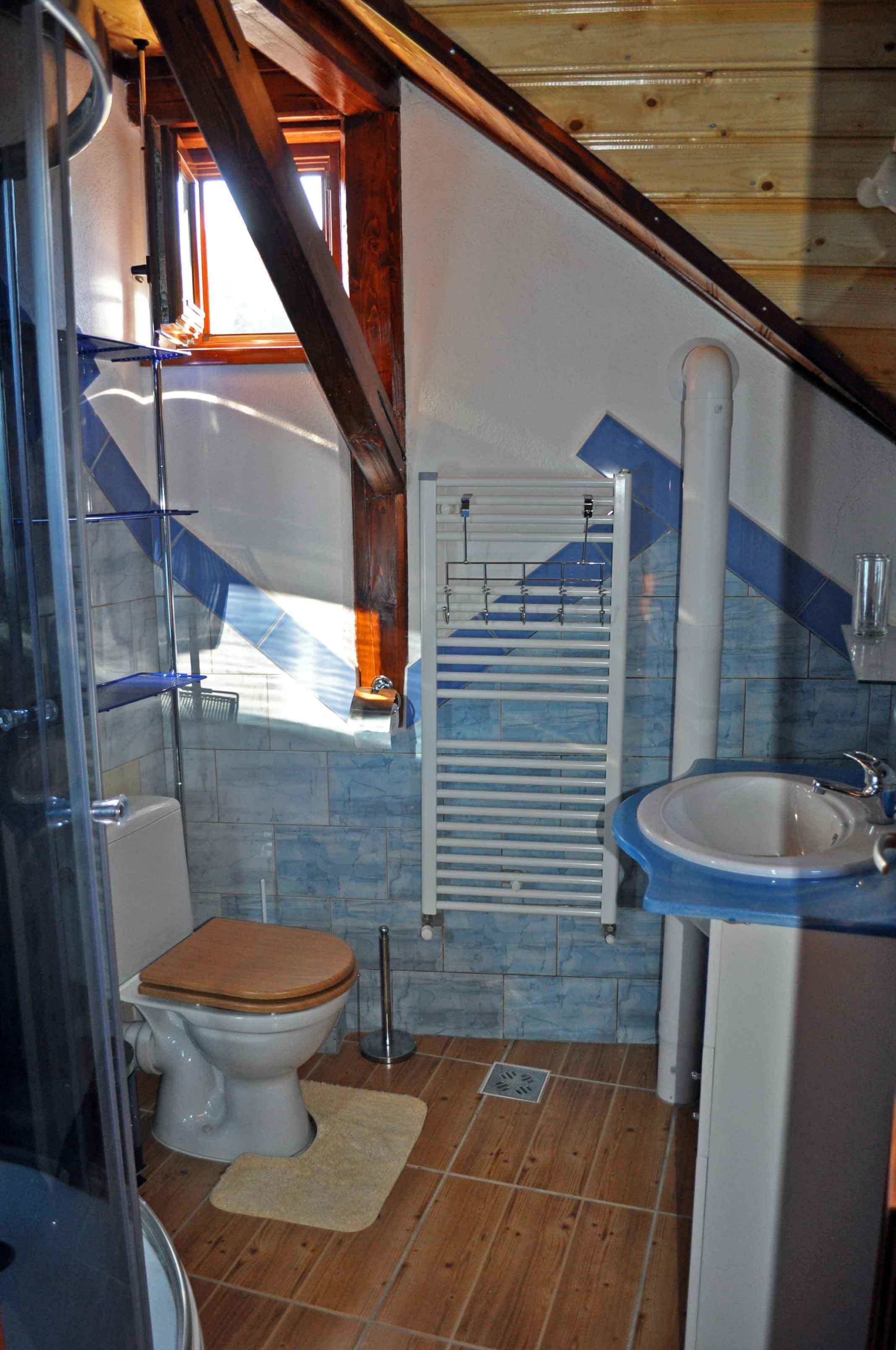 Une petite salle de bain comprenant des toilettes, un lavabo et une douche.
