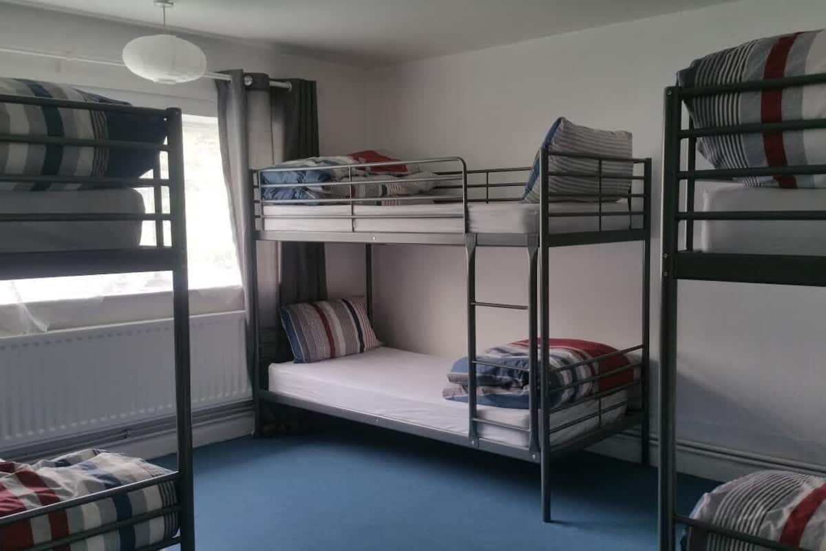 A bunk bed room with a window, a radiator, and a blue carpet.
