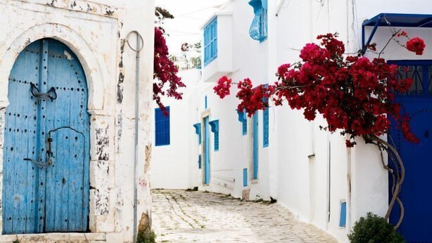 A narrow cobblestone street flanked by white buildings with blue doors and windows. - Cosy S3 At Sidi Bou Said Village (Sidi Bou Said)