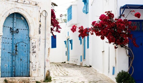 Exterior - Cosy S3 At Sidi Bou Said Village (Sidi Bou Said)