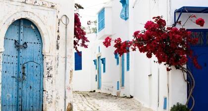 Cosy S3 At Sidi Bou Said Village