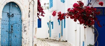 Cosy S3 At Sidi Bou Said Village