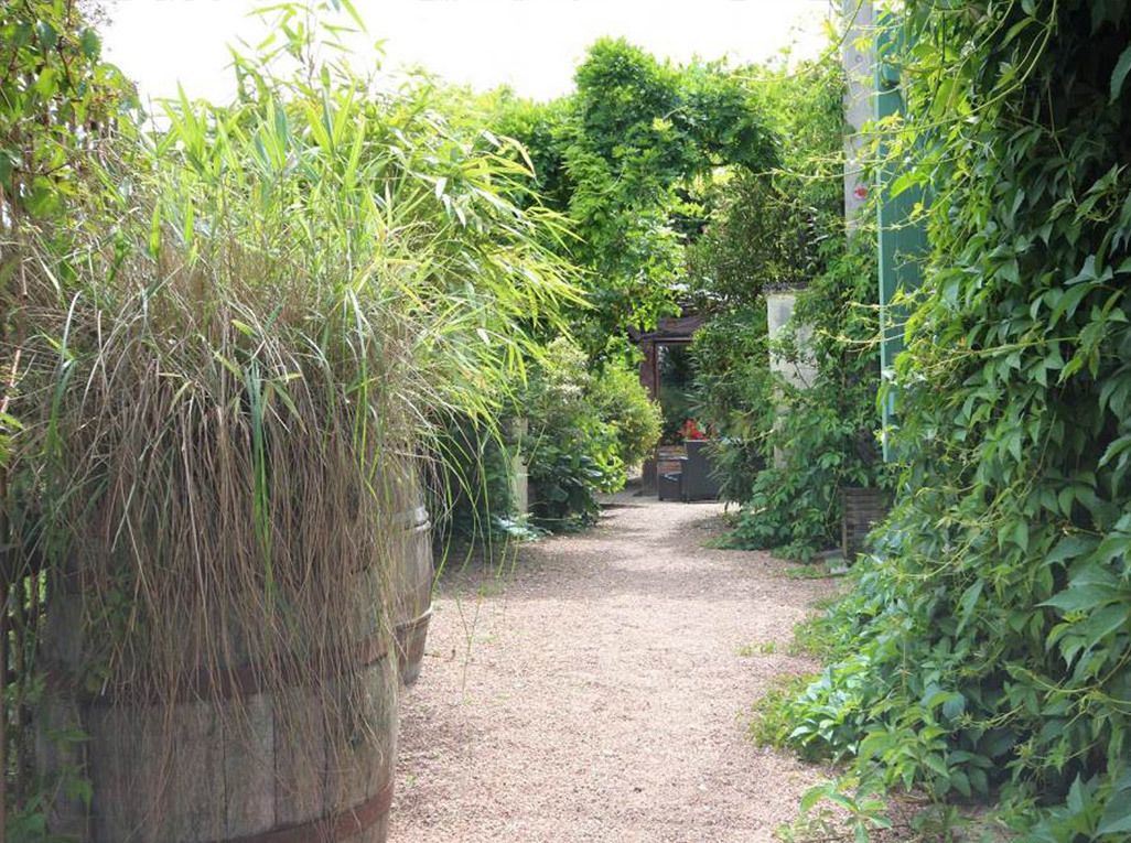 A narrow gravel path flanked by dense vegetation and a brick wall.
