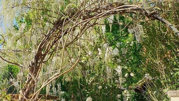 Un sendero de jardín que conduce a una puerta blanca, rodeado de abundante vegetación y plantas con flores.