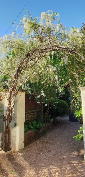 A gravel pathway leading through a garden with a vine-covered archway. - La Pouillyzotte (Pouilly-sur-Loire)