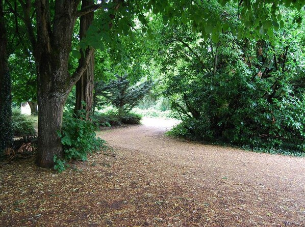 A forested area with a gravel path. - La Pouillyzotte (Pouilly-sur-Loire)