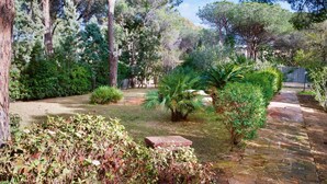 A garden with a stone pathway, various shrubs, and trees. - Villa Corallo (Pula)