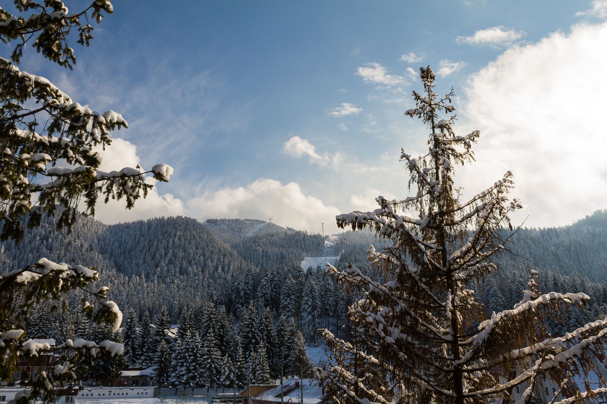 Paesaggio montano innevato con fitte foreste e cielo sereno.