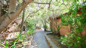 A pathway flanked by trees and a stone wall, leading to a building with a reddish-brown facade. - Villa Ginepro (San Teodoro)