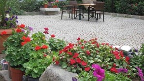 Un patio con piso de piedra, rodeado de macetas con plantas y flores. En el centro hay una mesa y sillas, y un pájaro posado sobre una estructura parecida a un nido.